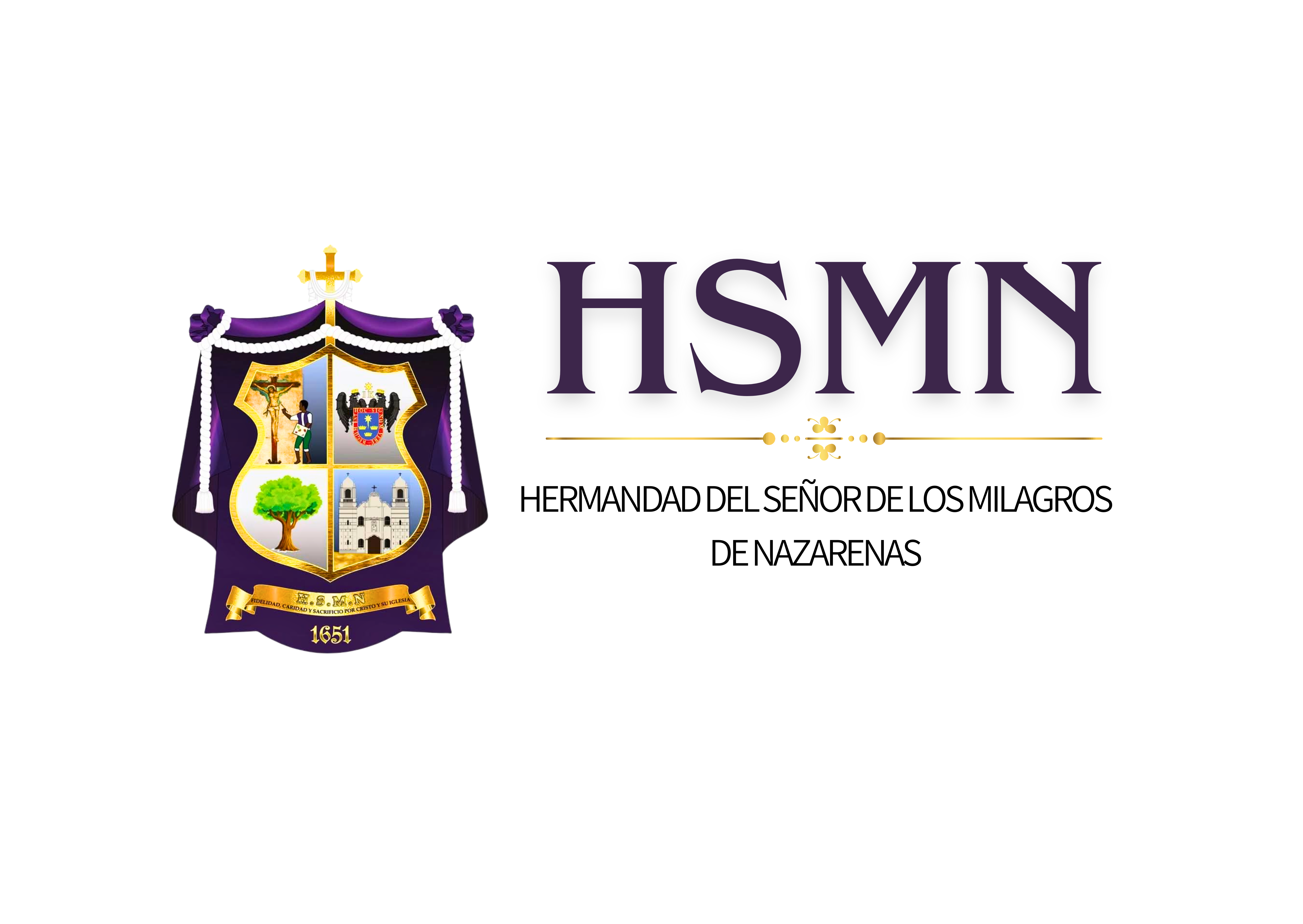 Logo TI